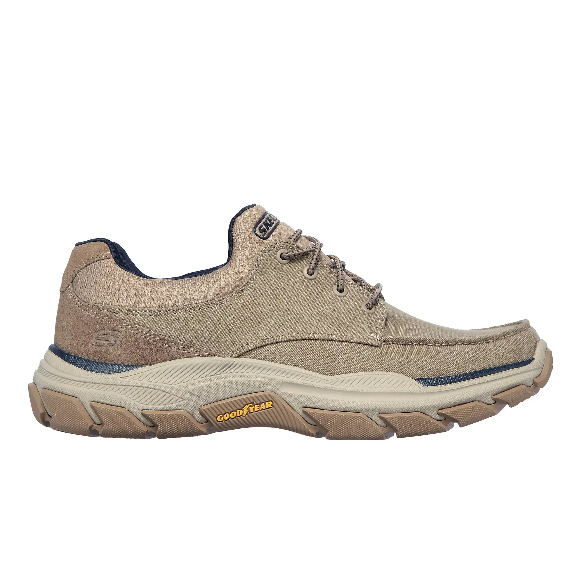 204329_TPE_A Respected - Loleto – Image 1